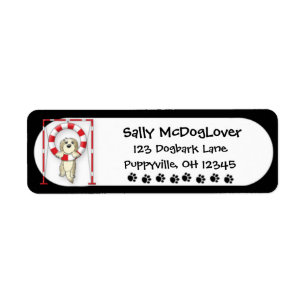 Hang in There Dog Agility