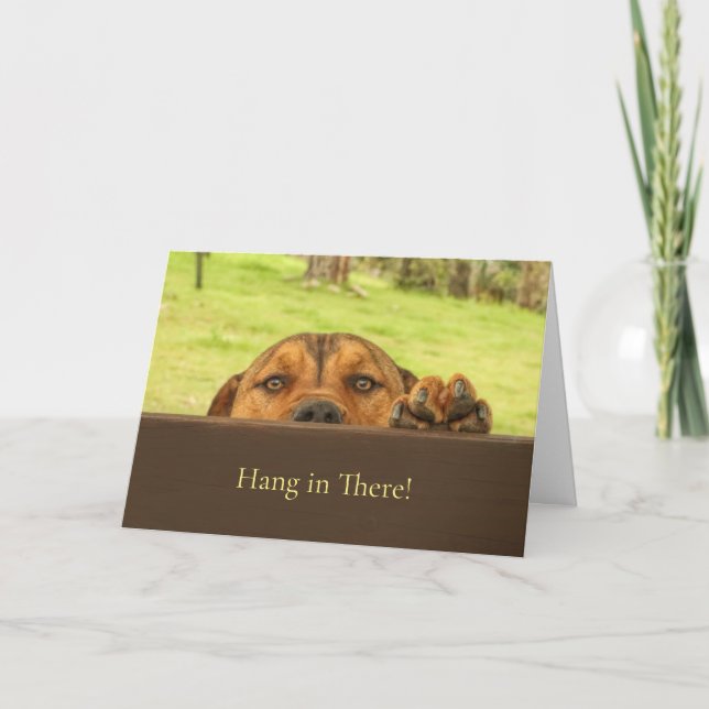 Hang In There Encouragement Cute Pitbull Dog Card (Front)
