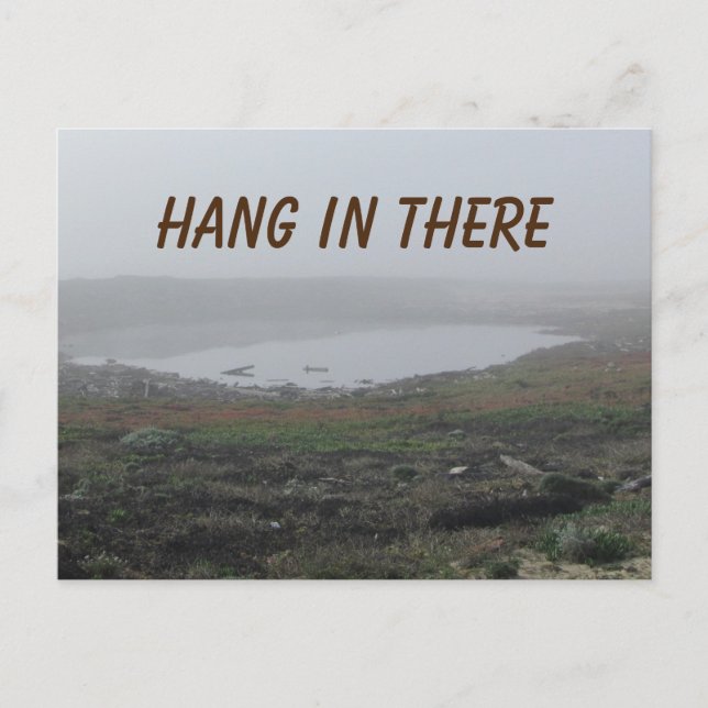 Hang in There Foggy Landscape Photo Encouraging Postcard (Front)