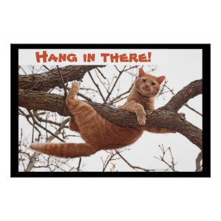 Hang in there! - Ginger cat holding on tight Poster