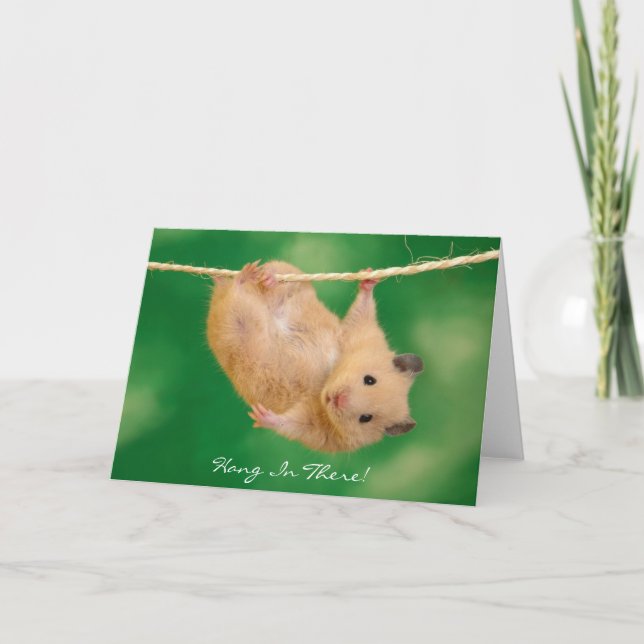 Hang In There! Hamster Card (Front)