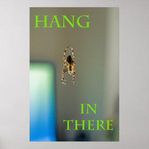 Hang in There Poster