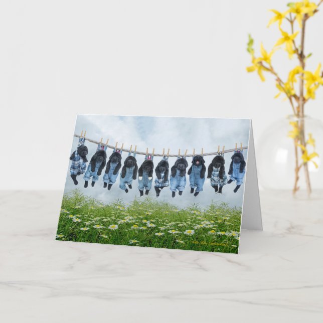 Hang in there puppy greeting card (Yellow Flower)