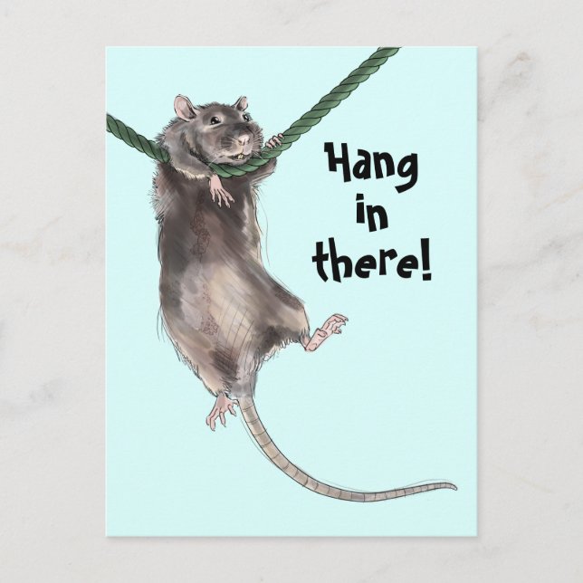 Hang In There Rat Blue Background Postcard (Front)