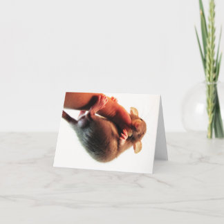 Hang in There Rat Card