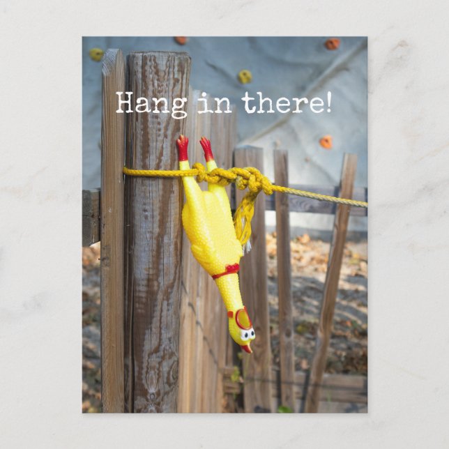 Hang in there Rubber Chicken Postcard (Front)