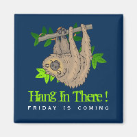 Hang in there Sloth on a Tree Branch