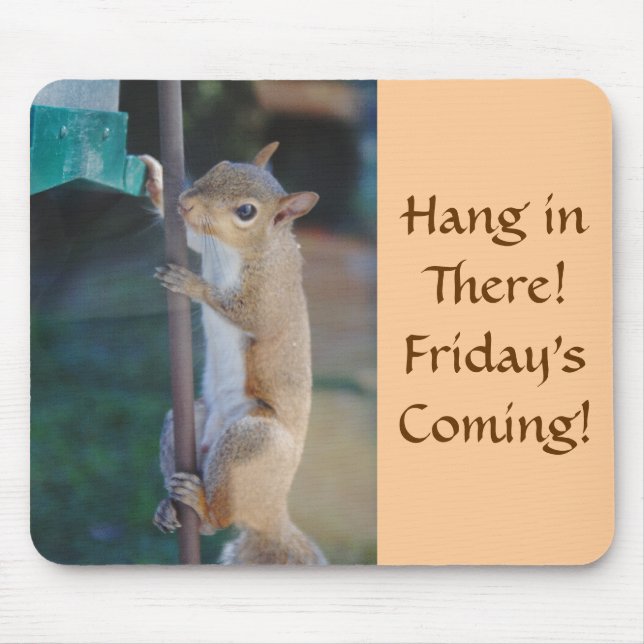 Hang in There, Squirrel on Bird Feeder Mouse Mat (Front)