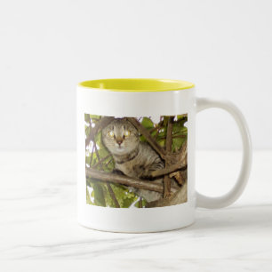 Hang in there Two-Tone coffee mug