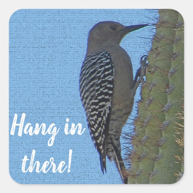 Hang in There Woodpecker Photo Saguaro Cactus Square Sticker (Front)
