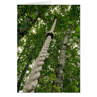 Hang on and enjoy the ride