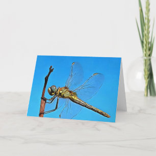 Hang On Artistic Dragonfly Against Cerulean Blue Card