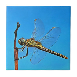 Hang On Artistic Dragonfly Against Cerulean Blue Tile