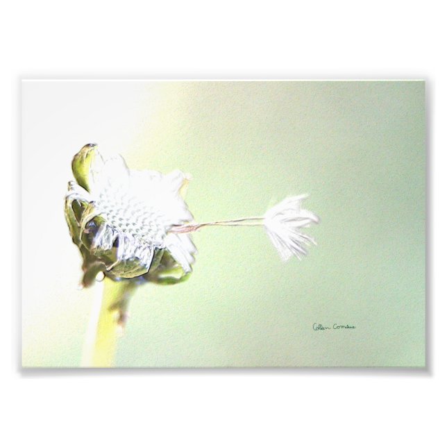 Hang On - Faux Embossed Photo Print (Front)