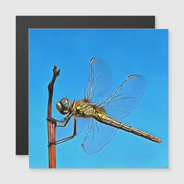 Hang On In There Artistic Dragonfly (Front/Back)