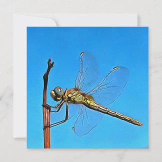 Hang On In There Artistic Dragonfly Holiday Card