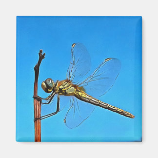 Hang On In There Artistic Dragonfly Magnet