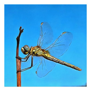 Hang On In There Artistic Dragonfly Photo Print