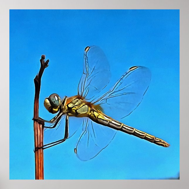 Hang On In There Artistic Dragonfly Poster (Front)