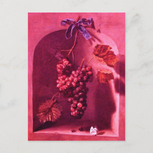 HANGED GRAPES Antique Viticulture,Rustic Vineyard Postcard