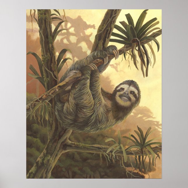 Hangin' In There - Three toed Sloth Poster (Front)