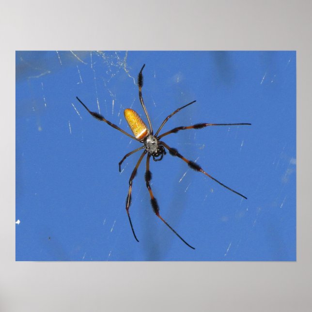 Hangin' Out Poster (Front)