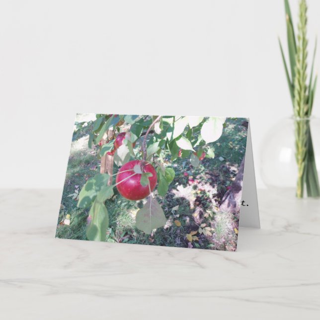 "Hanging Apple" Congratulatory Card (Front)