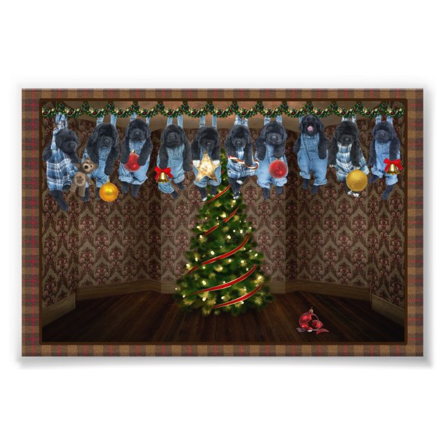 Hanging Around Christmas Photo Prints (Front)