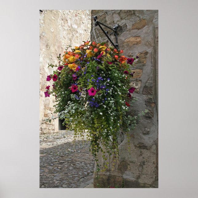 Hanging Basket Poster (Front)