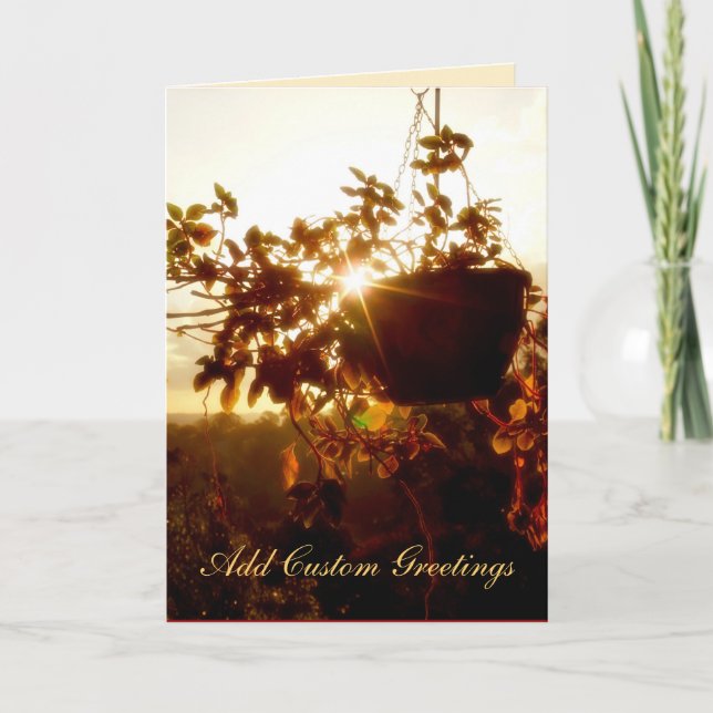Hanging Garden Sun Twinkle Greeting Card (Front)