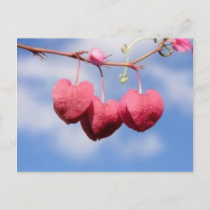 Hanging_hearts flower postcard