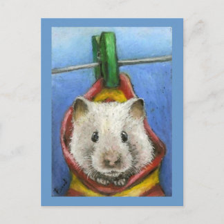Hanging in there postcard