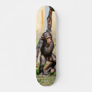 Hanging Monkey Skateboard