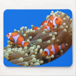 Hanging Out with Clown Fish Mouse Mat