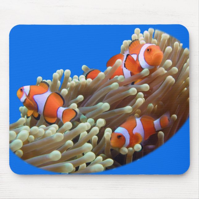 Hanging Out with Clown Fish Mouse Mat (Front)