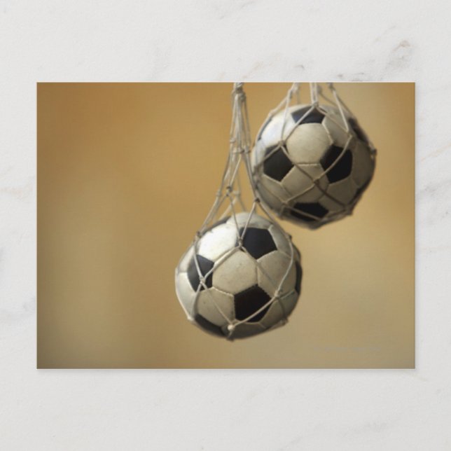 Hanging Soccer Balls Postcard (Front)