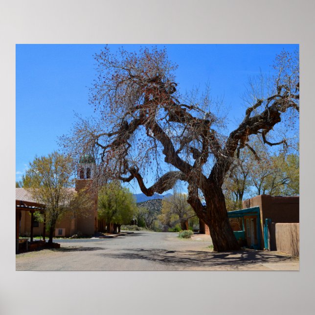 Hanging Tree, Cerrillos,  New Mexico Poster (Front)