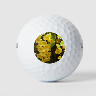 Hanging Yellow Orchids Tropical Flowers Golf Balls