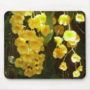 Hanging Yellow Orchids Tropical Flowers Mouse Mat