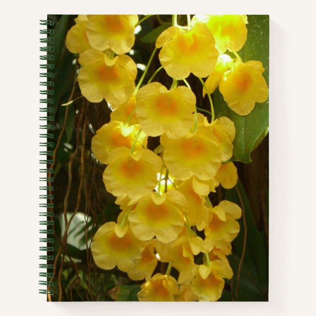 Hanging Yellow Orchids Tropical Flowers Notebook (Front)