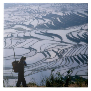 Hani girl carrying basket with rice terrace, tile