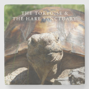 Hania Coaster