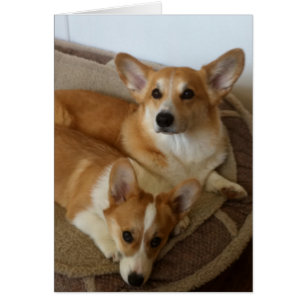 Hank and Milly