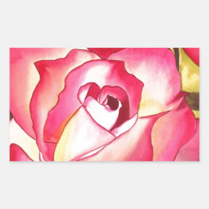 Hannah Gordon pink Rose watercolor art Rectangular Sticker