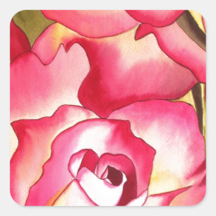 Hannah Gordon pink Rose watercolor art Square Sticker
