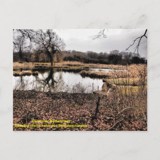 Hannover - Badenstedt Postcard