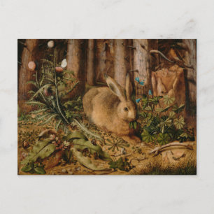 Hans Hoffmann A Hare In The Forest Postcard