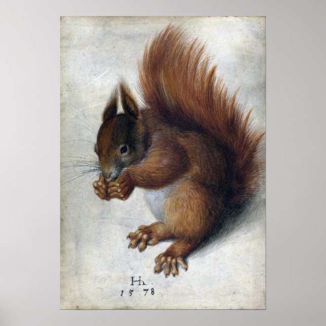 Hans Hoffmann Red Squirrel Poster (Front)