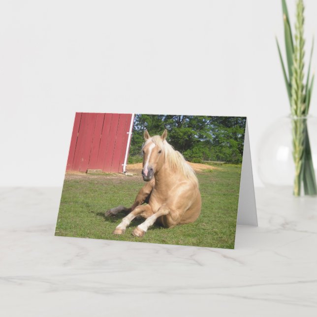 Hansome Palomino Horse Card (Front)