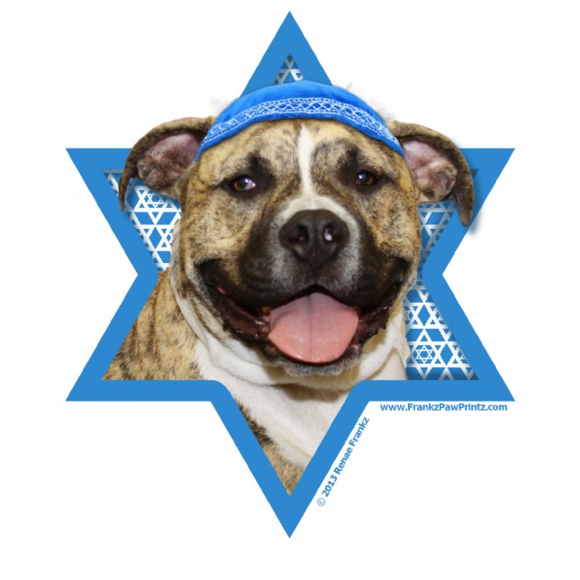 Hanukkah Star of David - Pitbull - Tigger Standing Photo Sculpture (Front)